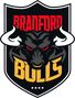Bradford Bulls Store