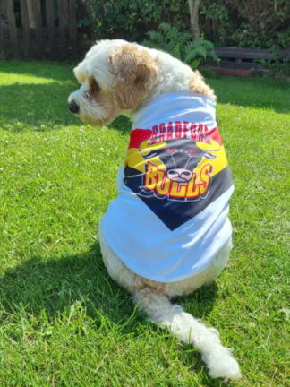Mens BRADFORD BULLS Provident ISCD Rugby Shirt - Sz S
